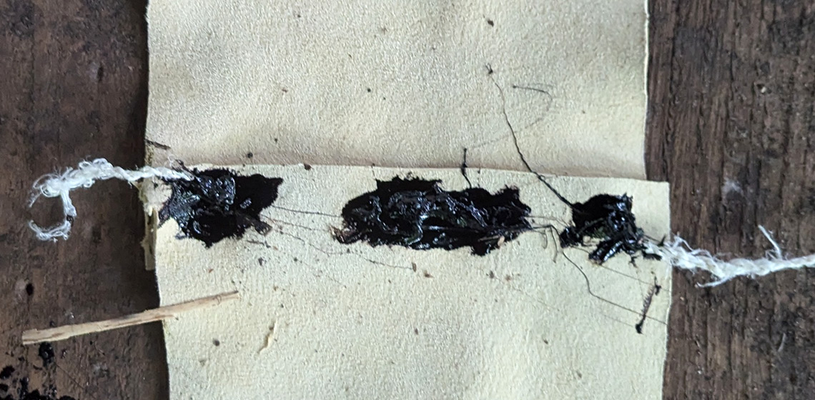 Neanderthals in the Rain: Assessing Neanderthals' Strategies to Survive Wet and Cold Environments through an Experimental Analysis