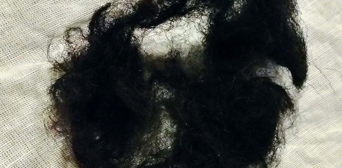 Searching for Dubh: Experiments in Black Dyes Pre 15th Century in Ireland and Scotland