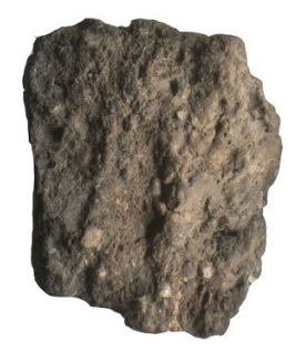 Type 1