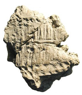 Type 3
